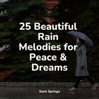 Sound of Storms - Academia de Meditação Buddha & White Noise Babies & Musica Reiki