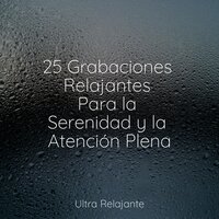 Sauces Somnolientos - Meditação Yoga & Música a Relajarse & Escola de Meditação