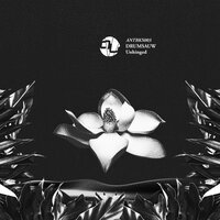Unhinged - Drumsauw