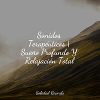 Descanso Celestial - Sonido Del Bosque y Naturaleza & Música Zen Relaxante & Massagem Música
