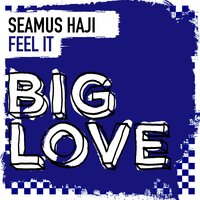 Feel It - Seamus Haji & Lifelike