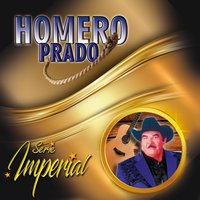 A Medias de la Noche - Homero Prado