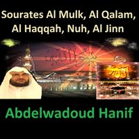 Sourate Al Jinn - Abdelwadoud Hanif