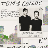 Hollow - Tom & Collins