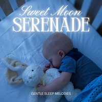 Calm Reflections - Gentle Sleep Melodies