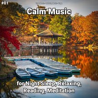 Calm Music Part 11 - Yoga Music & Relaxing music & Yoga