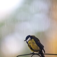 Quedarse En Casa - Academia de Música para Massagem Relaxamento & Canciones De Cuna Para Dormir Bebes & Meditacion