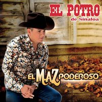 Ojalá - El Potro De Sinaloa
