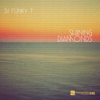 She Got It Bad - DJ Funky T
