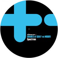 Love or Hate - Shades of Gray