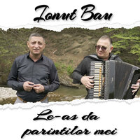 AM TOT CE-MI DORESC PE LUME - IONUT BAU