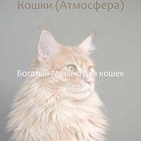 Мечты (Отдыхающие кошки) - Богатый Музыка для кошек