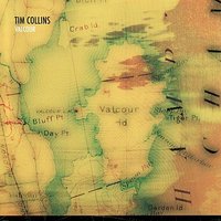 Buzzy John's Blues - Tim Collins