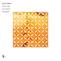 Now I Go - Amir Telem