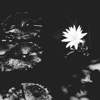 Satellite Walk - JÀY THÚŃDÈR