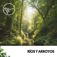 Brisa Nocturna - Ruido Blanco Hart & Rivers and Streams & Focus Chamber