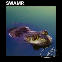 ASMR Calm Christmas Dock Frogs sound helps you relax your body - Spa Relaxation & Spa Music Relaxation & Spa Music & Meditation Collective