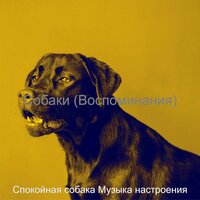 Чувство (Спокойные собаки) - Спокойная собака Музыка настроения