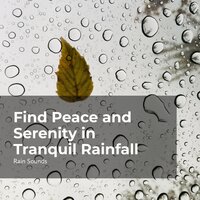 Rainfall Consolation - Rain Sounds & Rain Storm Sample Library & Natural Rain Sounds for Sleeping