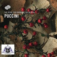 Madama Butterfly, Act 1: Quanto cielo, quanto mar! - Royal Philharmonic Orchestra & Charles Clarke & David Abell & Claire Rutter & Stephen Gadd & Джакомо Пуччини