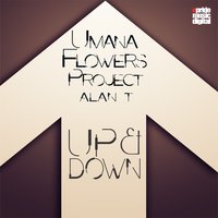 Up & Down - Alan T & Umana Flowers Project