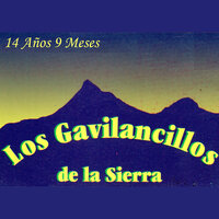 14 Años 9 Meses - Los Gavilancillos de La Sierra