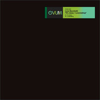 Lovemaking - Luca Bacchetti