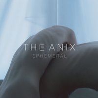 Stay - The Anix