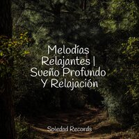 Hechizos De Noche - Música ambiental relajante & Meditación Guiada & Sonidos de lluvia para dormir