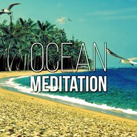Soothing Rain Sounds - Nature Meditation Academy
