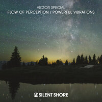 Flow Of Perception - Victor Special