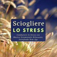 Energia Mentale - Pura Meditazione Stress