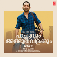 The Fight - Justin Prabhakaran