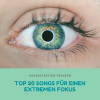 Konzentration fördern - Konzentration Steigern