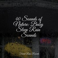 Soft Rains on the Window - Exam Study Classical Music Orchestra & Sleep Sounds Rain & Water Spa