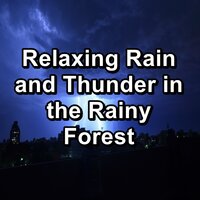 Rain Sounds and Thunder in the Rainy Forest To Repeat for 10 Hours - Thunder and Rain Storm & Rain & Thunder Storm Sounds & Rain & Thunder Sounds