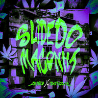 SLIDE DO MACONHA - DJ FLG & Dj Toxic