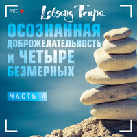 Лобсанг Тенпа. «Осознанная доброжелательность и четыре безмерных. Часть 4» - Лобсанг Тенпа
