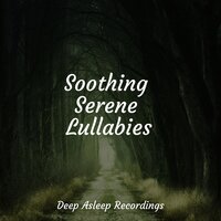 Melting Away - White Noise Sound Garden & Spa & Meditação Yoga