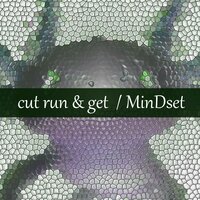 cut run & get - Mindset