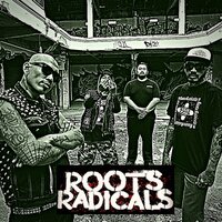 ON THE STREET - ROOTS RADICALS