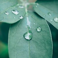 Sound of Nature: Sleep Baby Rain - Baby Sleep Rain Sound & Rain Sound
