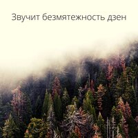 Свежий воздух - Академия Глубокой Релаксации