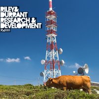 Tear Down The Walls (feat. Gina Dootson & Paul Maddox) - Riley & Durrant