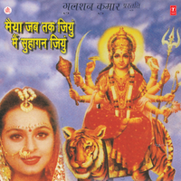 Tujhe Mann Se Pukarun Teri Aarti Utarun - Anuradha Paudwal & Surinder Kohli