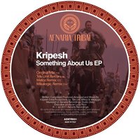 Mikalogic - Kripesh