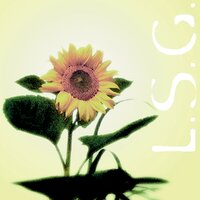 Wrong Time ... Wrong Place - L.S.G.