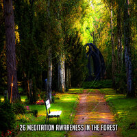 Мать природа - Ambient Forest