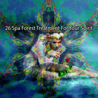 Heavenly Ascension - Sounds Of Nature Relaxation