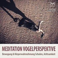 Meditationsmusik Vogelperspektive pur, Achtsamkeit, Teil 1 - Pierre bohn & SyncSouls & Torsten Abrolat